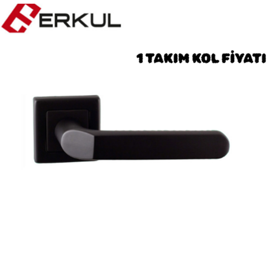 Erkul Bozan Rozetli Wc Kol Mat Siyah