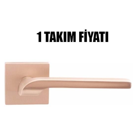 Erkul Aktan Rozetli Wc Kol İnox